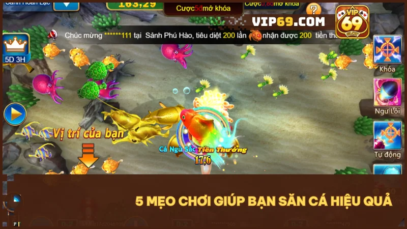 Vua Cá Mập tại Vip69 - Săn thưởng lớn trong thế giới đại dương đầy màu sắc 5 Áp dụng chiến thuật hợp lý với 5 mẹo chơi đơn giản để tăng tỉ lệ trúng lớn