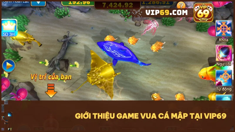 Vua Cá Mập tại Vip69 - Săn thưởng lớn trong thế giới đại dương đầy màu sắc 2 Khám phá thế giới biển sống động và cơ hội đổi thưởng hấp dẫn trong Vua Cá Mập tại Vip69.