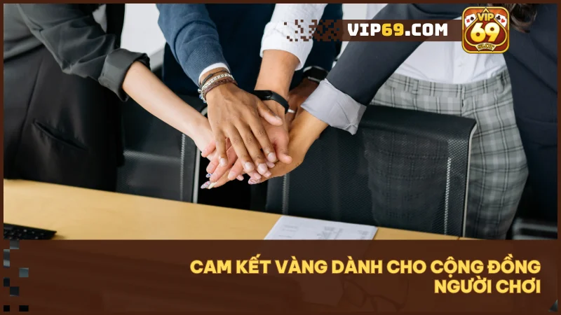 https://vip69hn.com/